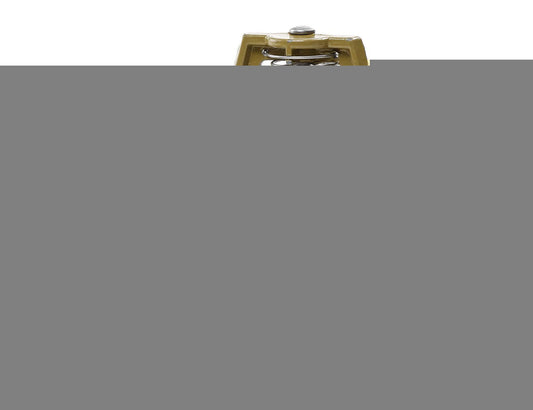 RajAgro Brass Sprinkler 3/4″